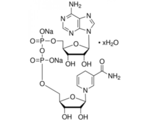 -Никотинамидадениндинуклеотид, восстановленный гидрат динатриевой соли 97% (ВЭЖХ) Sigma N8129