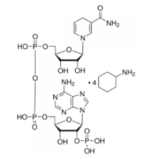 -Никотинамидадениндинуклеотидфосфат, восстановленная соль тетра (циклогексиламмония) 95% Sigma N5130