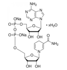 -Никотинамидадениндинуклеотид, восстановленный гидрат динатриевой соли 97,0% (ВЭЖХ) Sigma 43420