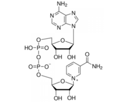 -никотинамидадениндинуклеотидгидрат степени AA-1, 95% (ВЭЖХ) Sigma N7381
