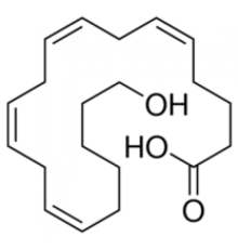 20-Гидрокси- (5Z, 8Z, 11Z, 14Zβэйкозатетраеновая кислота ~ 100 мкг / мл в этаноле, 90% (ВЭЖХ) Sigma H3023