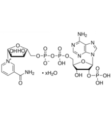 -никотинамидадениндинуклеотидфосфат гидрат Sigma N5755
