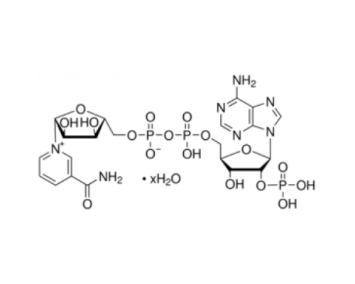 -никотинамидадениндинуклеотидфосфат гидрат Sigma N5755