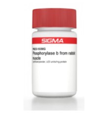 Фосфорилаза b из лиофилизированного порошка мышц кролика, 20 единиц / мг белка Sigma P6635