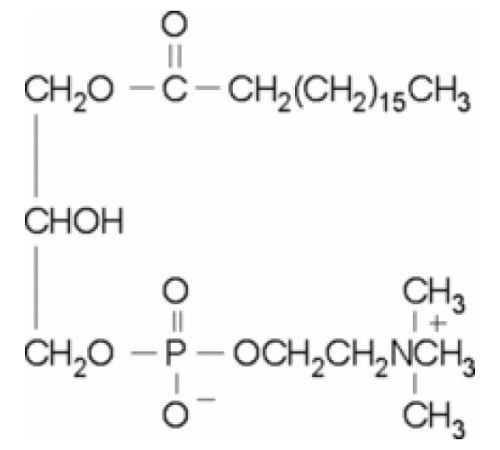 1-Стеароил-sn-глицеро-3-фосфохолин 99%, порошок Sigma L2131