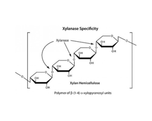 -ксилозидаза, термостабильный рекомбинант, экспрессируемый в E. coli, 90% (SDS-PAGE) Sigma X3504