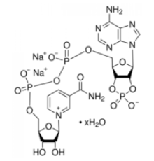 -никотинамидадениндинуклеотид 2 ': 3'-гидрат динатриевой соли циклического монофосфата 95% Sigma N5257
