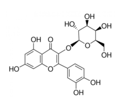 Кверцетин 3-D-галактозид 97,0% (ВЭЖХ) Sigma 83388