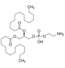 1,2-Димиристоил-sn-глицеро-3-фосфоэтаноламин синтетический, 99% Sigma P5693