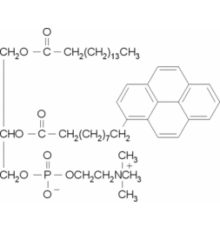 1-пальмитоил-2- (пирен-1-ил) деканоил-sn-глицеро-3-фосфохолин 95% Sigma P7657