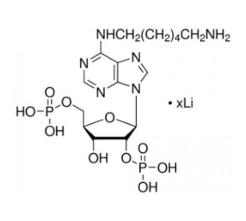 N6- (6-аминогексил) аденозин 2 ', 5'-дифосфат литиевая соль Sigma A9893