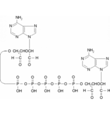 P1, P5-Di (аденозин-5 ') пентафосфат, окисленная натриевая соль периодатом 90% Sigma D9031