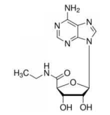 5 '- (N-Этилкарбоксамидо) аденозиновый порошок Sigma E2387