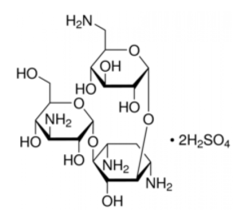 Дисульфат канамицина из Streptomyces kanamyceticus, аминогликозидный антибиотик Sigma K1876