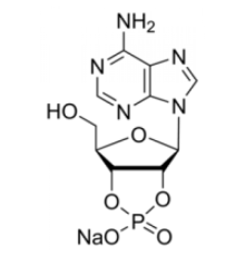 Аденозин 2 ': 3'-циклическая натриевая соль монофосфата 97% Sigma A9376