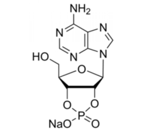 Аденозин 2 ': 3'-циклическая натриевая соль монофосфата 97% Sigma A9376
