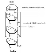 Инулиназа из Aspergillus nigβ водный раствор глицерина Sigma I6285