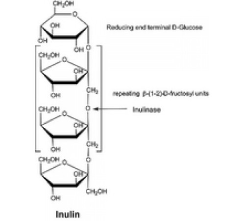 Инулиназа из Aspergillus nigβ водный раствор глицерина Sigma I6285
