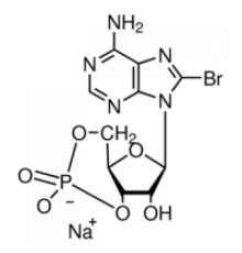 Натриевая соль 8-бромаденозина 3 ', 5'-циклического монофосфата 97% (ВЭЖХ), порошок Sigma B7880
