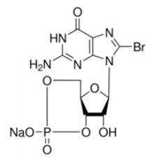 Натриевая соль 8-бромогуанозина 3 ', 5'-циклического монофосфата 98% (ВЭЖХ), порошок Sigma B1381