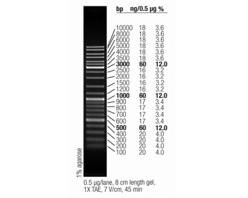 Маркер длин ДНК GeneRuler Mix, 21 фрагмент от 100 до 10000 п.н., готовый к применению, 0,1 мкг/мкл, Thermo FS
