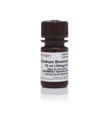 Краситель Ethidium Bromide, UltraPure, Thermo FS