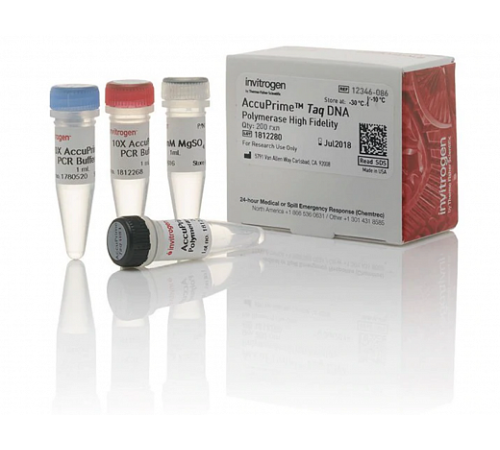 ДНК-полимераза AccuPrime Taq DNA Polymerase, high fidelity, Thermo FS