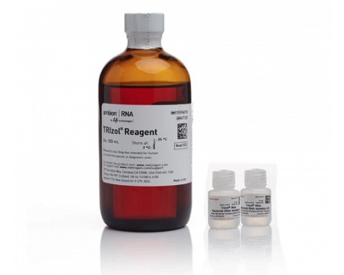 Набор TRIzol Max Bacterial RNA Isolation Kit, Thermo FS