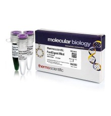 Эндонуклеаза рестрикции MboI Fast Digest для ускоренного гидролиза ДНК, Fermentas, Thermo FS