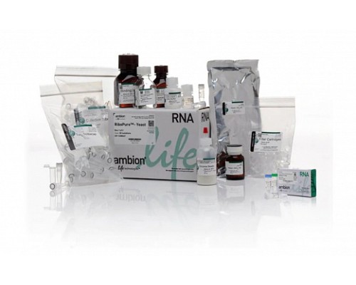 Набор RiboPure RNA Purification Kit, yeast, Thermo FS